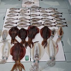 フィッシングボートACE(エース) 釣果