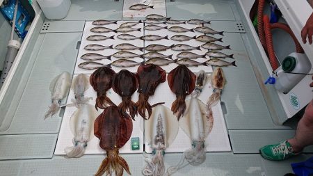 フィッシングボートACE(エース) 釣果