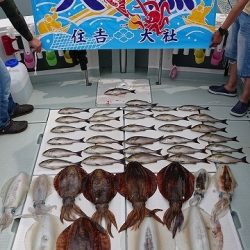 フィッシングボートACE(エース) 釣果