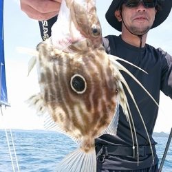 フィッシングボートACE(エース) 釣果