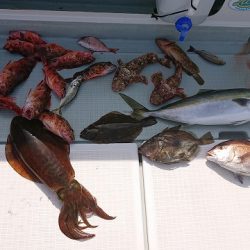 フィッシングボートACE(エース) 釣果