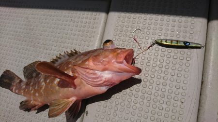 武士(SAMURAI) 釣果