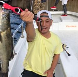 シーマジカル 釣果