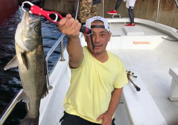 シーマジカル 釣果