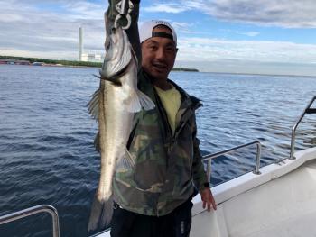 シーマジカル 釣果