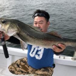 シーマジカル 釣果