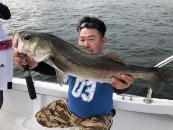 シーマジカル 釣果