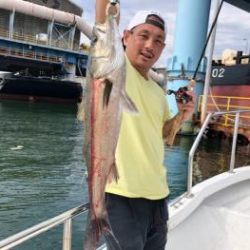 シーマジカル 釣果