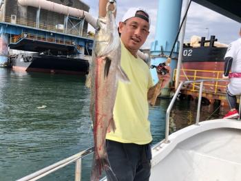 シーマジカル 釣果