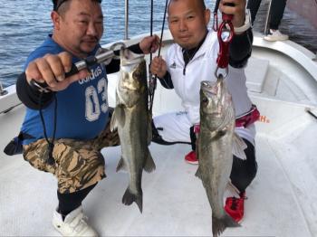 シーマジカル 釣果