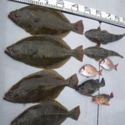 磯部釣船 直栄丸 釣果