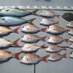 磯部釣船 直栄丸 釣果