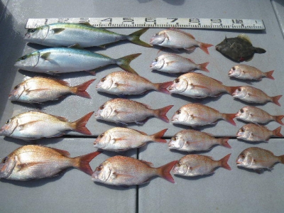 磯部釣船 直栄丸 釣果