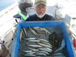 山本丸 釣果