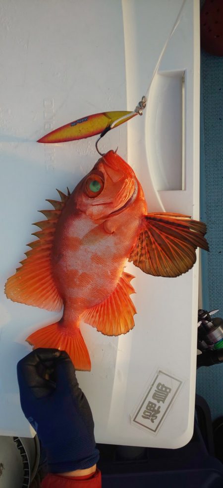 金剛丸 釣果