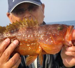 兼六丸 釣果