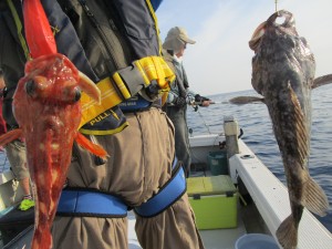 兼六丸 釣果