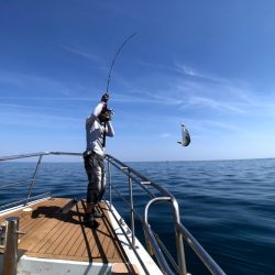 オーシャンズ 京都 釣果