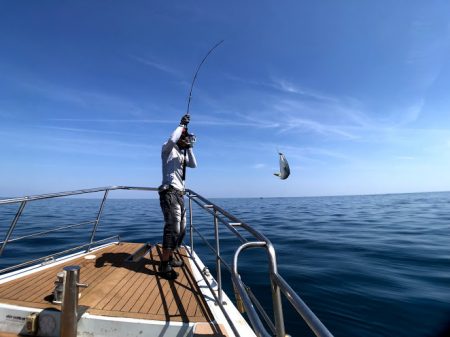 オーシャンズ 京都 釣果