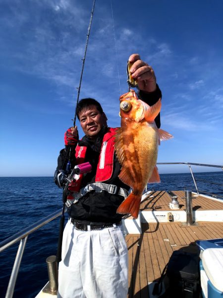 オーシャンズ　京都 釣果