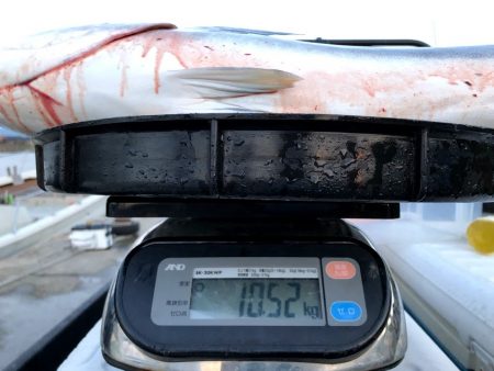 オーシャンズ　京都 釣果