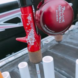 フィシングボートAir(エアー) 釣果