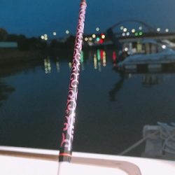 フィシングボートAir(エアー) 釣果