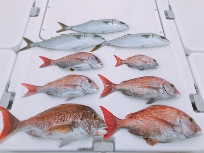 フィシングボートAir(エアー) 釣果