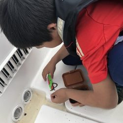 フィシングボートAir(エアー) 釣果