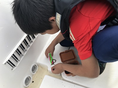 フィシングボートAir(エアー) 釣果