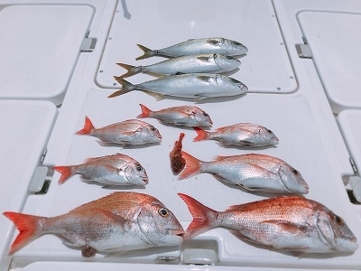 フィシングボートAir(エアー) 釣果