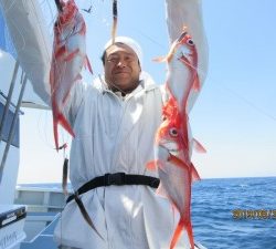 太郎丸 釣果
