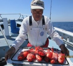 太郎丸 釣果
