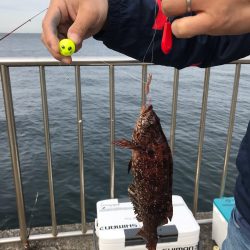 【うきまろ】はファミリーフィッシングに最適！