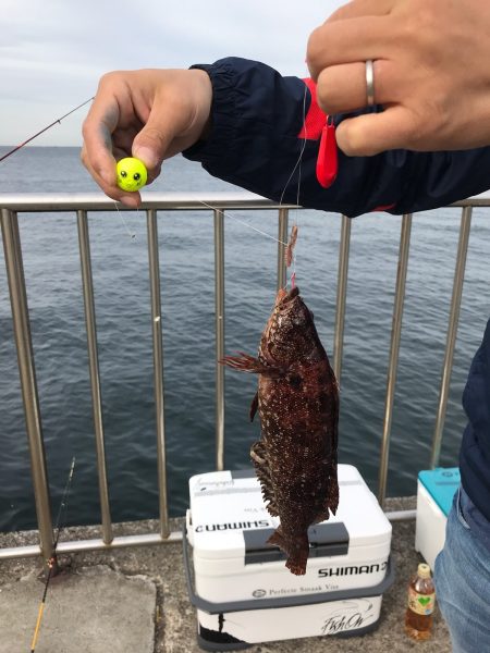 【うきまろ】はファミリーフィッシングに最適！