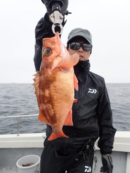 Aquanaut(アクアノート) 釣果