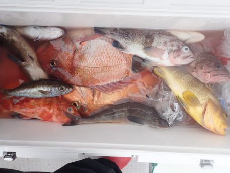 Aquanaut(アクアノート) 釣果