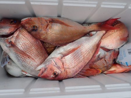 Aquanaut(アクアノート) 釣果