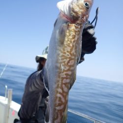 Aquanaut（アクアノート） 釣果