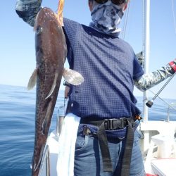 Aquanaut（アクアノート） 釣果