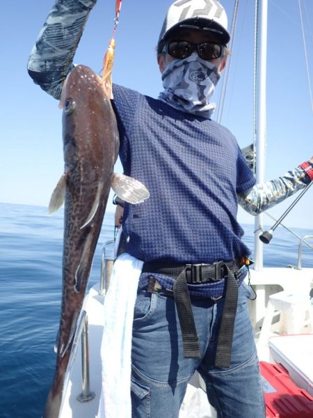 Aquanaut（アクアノート） 釣果