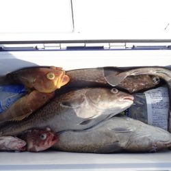 Aquanaut（アクアノート） 釣果