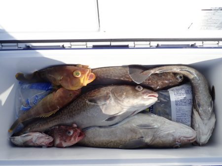 Aquanaut（アクアノート） 釣果