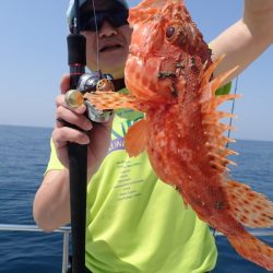 Aquanaut(アクアノート) 釣果