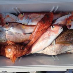 Aquanaut(アクアノート) 釣果