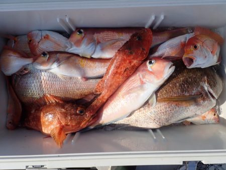 Aquanaut(アクアノート) 釣果