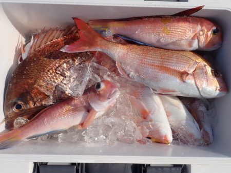 Aquanaut(アクアノート) 釣果