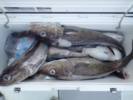 Aquanaut(アクアノート) 釣果