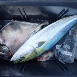 Aquanaut(アクアノート) 釣果