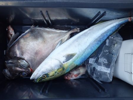 Aquanaut(アクアノート) 釣果